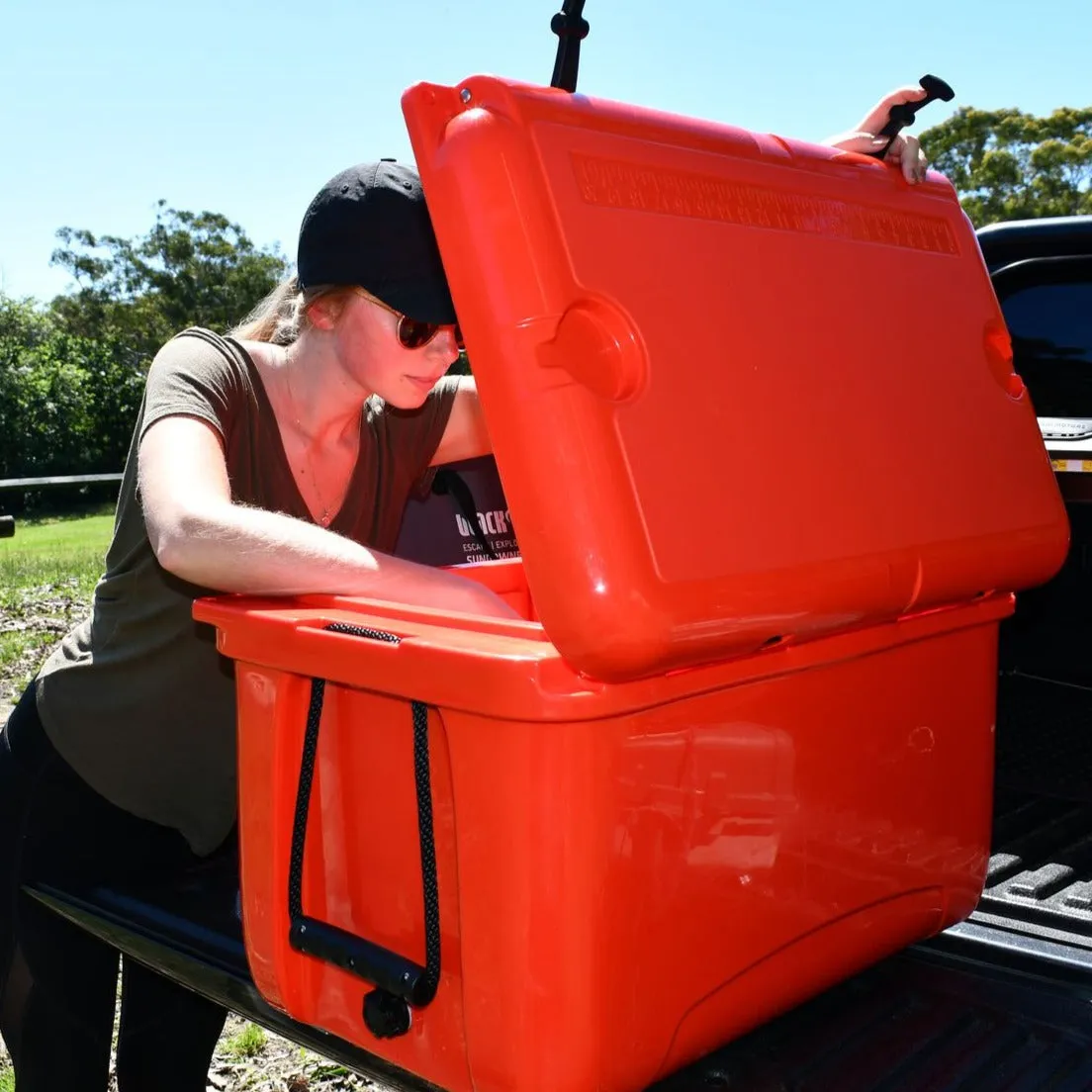 BlackWolf 45 Hardside Cooler